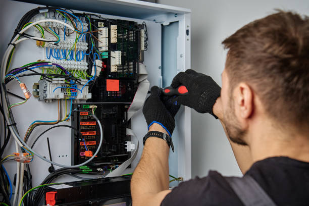 Licensed Electrical Panel Upgrade service in Citronelle, AL - No Joke electrician